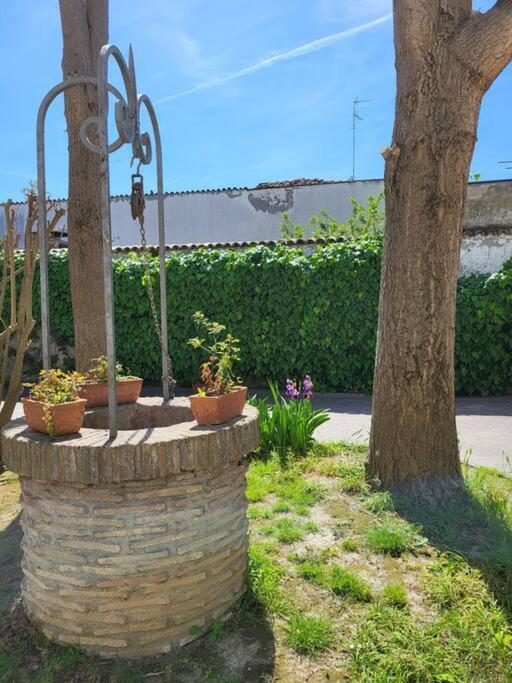 Apartmán Casa Pascoli Ravenna Exteriér fotografie